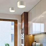 Fitting LED | Modern Cylindrical LED Ceiling Light Minimalist Surface Mount Lamp