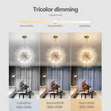Fitting LED | Modern Firework LED Chandelier Luxury Dandelion Ceiling Light