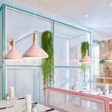Fitting LED | Modern Nordic LED Pendant Light Colorful Hanging Ceiling Lamp