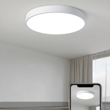 Fitting LED | Modern Round LED Ceiling Light for Minimalist Ambient Lighting